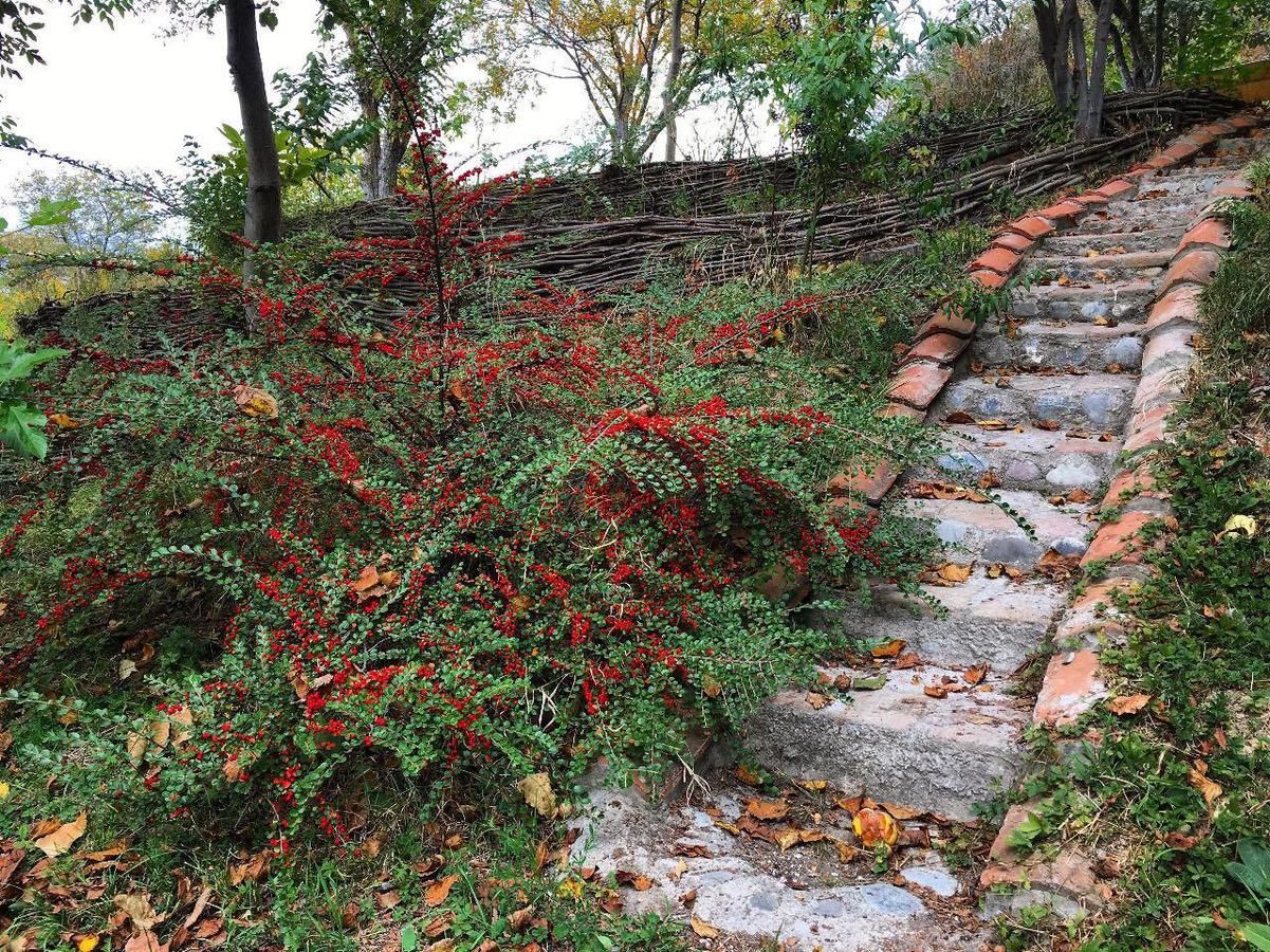 Дома для отпуска Cozy cottage in countryside close to Tbilisi Душети